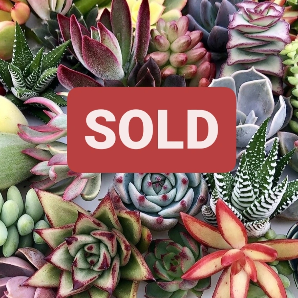 Items Below Have Sold